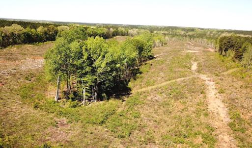 Photo #9 of SOLD property in Off Meherrin River Rd, Brodnax, VA 88.0 acres