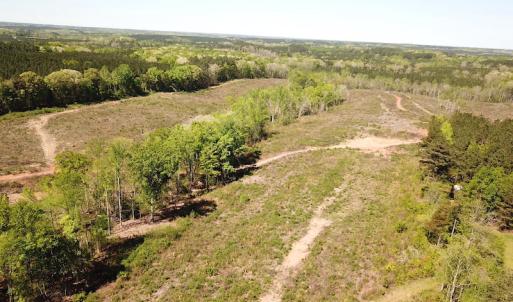 Photo #10 of SOLD property in Off Meherrin River Rd, Brodnax, VA 88.0 acres