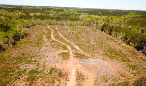 Photo #11 of SOLD property in Off Meherrin River Rd, Brodnax, VA 88.0 acres