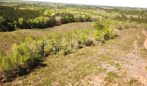 Photo #12 of SOLD property in Off Meherrin River Rd, Brodnax, VA 88.0 acres
