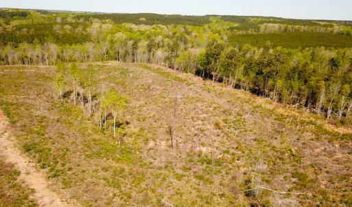 Photo #13 of SOLD property in Off Meherrin River Rd, Brodnax, VA 88.0 acres