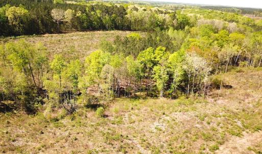 Photo #14 of SOLD property in Off Meherrin River Rd, Brodnax, VA 88.0 acres