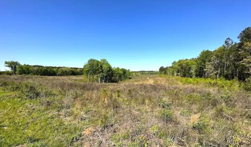 Photo #15 of SOLD property in Off Meherrin River Rd, Brodnax, VA 88.0 acres