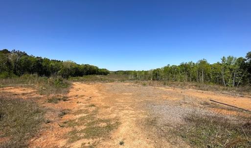 Photo #16 of SOLD property in Off Meherrin River Rd, Brodnax, VA 88.0 acres