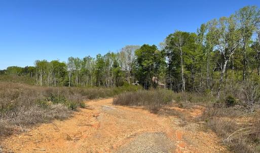 Photo #17 of SOLD property in Off Meherrin River Rd, Brodnax, VA 88.0 acres