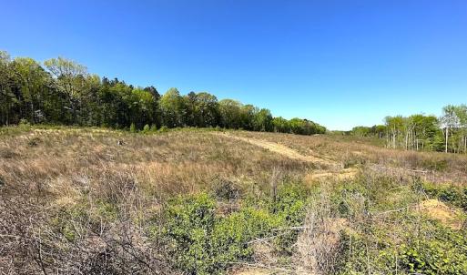 Photo #18 of SOLD property in Off Meherrin River Rd, Brodnax, VA 88.0 acres