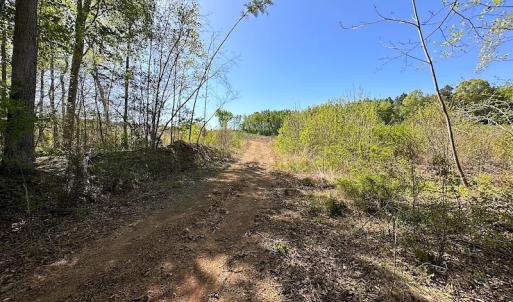 Photo #21 of SOLD property in Off Meherrin River Rd, Brodnax, VA 88.0 acres