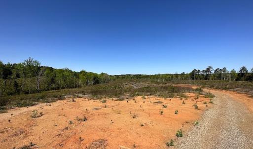 Photo #22 of SOLD property in Off Meherrin River Rd, Brodnax, VA 88.0 acres