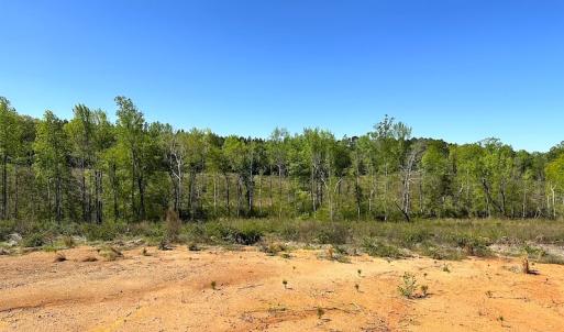 Photo #23 of SOLD property in Off Meherrin River Rd, Brodnax, VA 88.0 acres