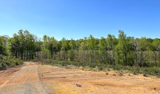 Photo #24 of SOLD property in Off Meherrin River Rd, Brodnax, VA 88.0 acres