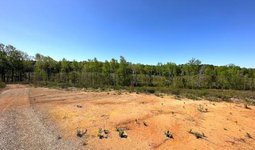Photo #25 of SOLD property in Off Meherrin River Rd, Brodnax, VA 88.0 acres