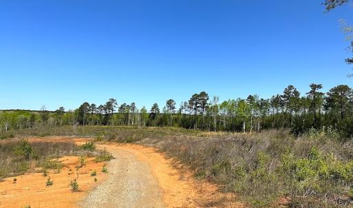 Photo #26 of SOLD property in Off Meherrin River Rd, Brodnax, VA 88.0 acres