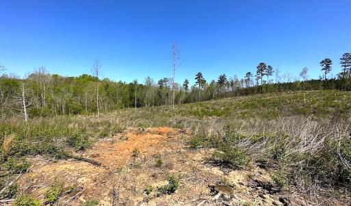 Photo #27 of SOLD property in Off Meherrin River Rd, Brodnax, VA 88.0 acres