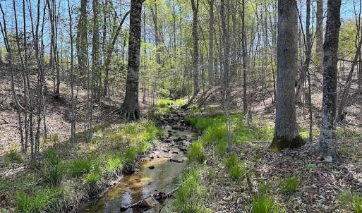 Photo #30 of SOLD property in Off Meherrin River Rd, Brodnax, VA 88.0 acres