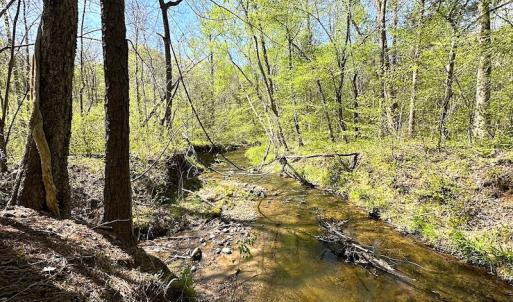 Photo #31 of SOLD property in Off Meherrin River Rd, Brodnax, VA 88.0 acres