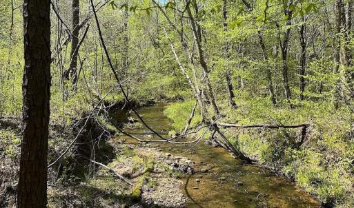 Photo #32 of SOLD property in Off Meherrin River Rd, Brodnax, VA 88.0 acres