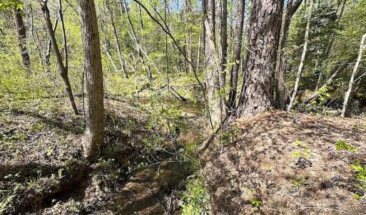 Photo #33 of SOLD property in Off Meherrin River Rd, Brodnax, VA 88.0 acres
