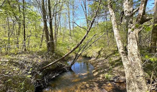 Photo #34 of SOLD property in Off Meherrin River Rd, Brodnax, VA 88.0 acres