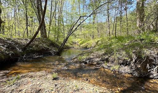 Photo #35 of SOLD property in Off Meherrin River Rd, Brodnax, VA 88.0 acres