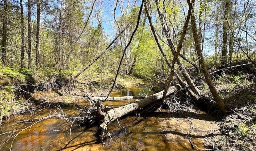 Photo #36 of SOLD property in Off Meherrin River Rd, Brodnax, VA 88.0 acres