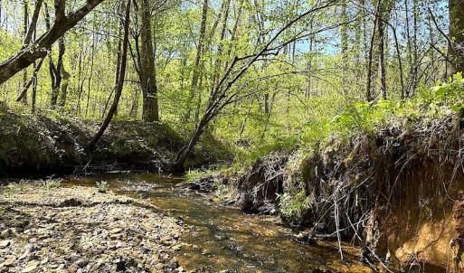 Photo #38 of SOLD property in Off Meherrin River Rd, Brodnax, VA 88.0 acres