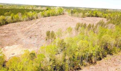 Photo #2 of Off Renrut Rd, Lunenburg, VA 104.0 acres