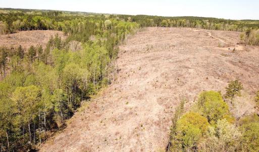 Photo #3 of Off Renrut Rd, Lunenburg, VA 104.0 acres