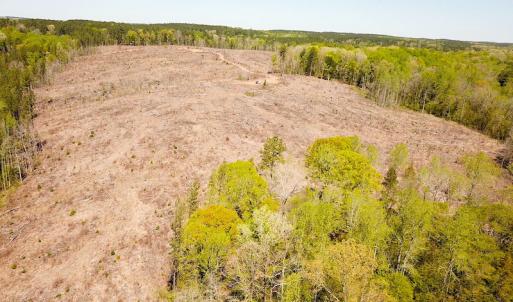 Photo #4 of Off Renrut Rd, Lunenburg, VA 104.0 acres