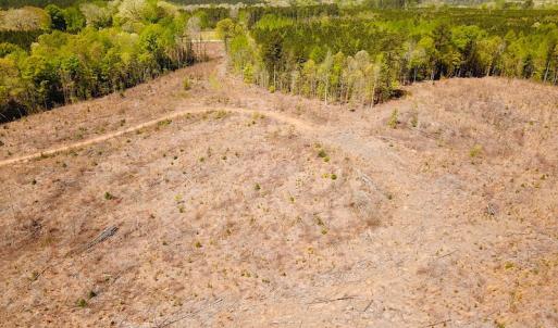 Photo #8 of Off Renrut Rd, Lunenburg, VA 104.0 acres
