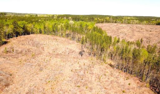 Photo #9 of Off Renrut Rd, Lunenburg, VA 104.0 acres