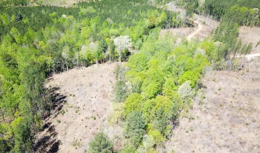 Photo #10 of Off Renrut Rd, Lunenburg, VA 104.0 acres