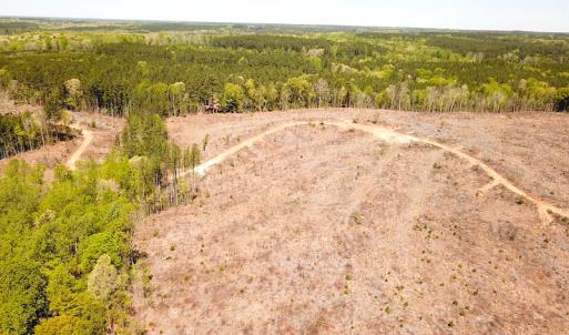 Photo #11 of Off Renrut Rd, Lunenburg, VA 104.0 acres
