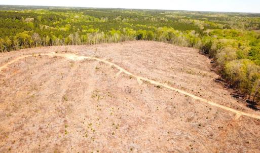 Photo #12 of Off Renrut Rd, Lunenburg, VA 104.0 acres