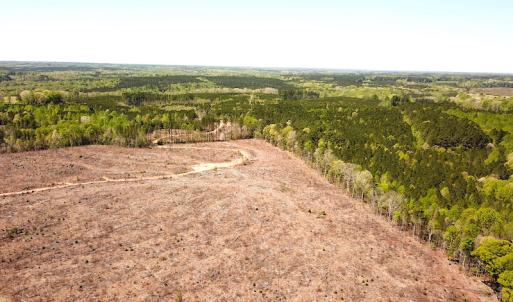 Photo #13 of Off Renrut Rd, Lunenburg, VA 104.0 acres