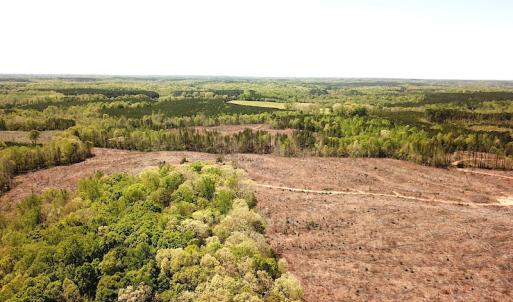 Photo #14 of Off Renrut Rd, Lunenburg, VA 104.0 acres