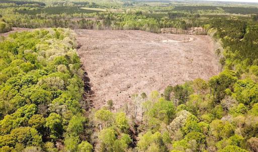 Photo #15 of Off Renrut Rd, Lunenburg, VA 104.0 acres