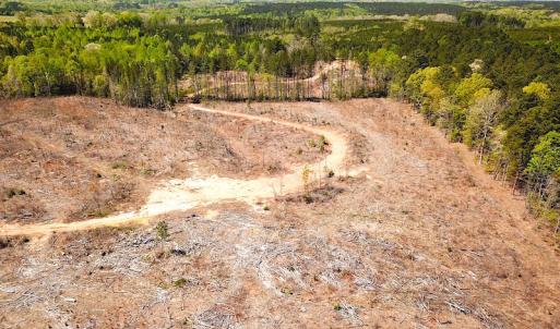 Photo #16 of Off Renrut Rd, Lunenburg, VA 104.0 acres
