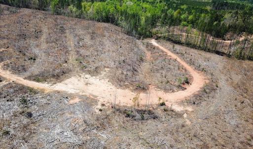 Photo #17 of Off Renrut Rd, Lunenburg, VA 104.0 acres