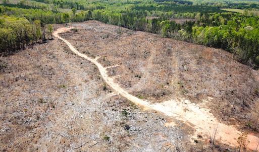 Photo #18 of Off Renrut Rd, Lunenburg, VA 104.0 acres