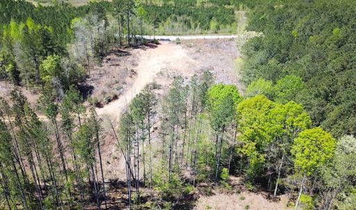 Photo #19 of Off Renrut Rd, Lunenburg, VA 104.0 acres