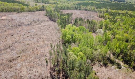 Photo #20 of Off Renrut Rd, Lunenburg, VA 104.0 acres