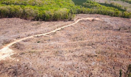 Photo #21 of Off Renrut Rd, Lunenburg, VA 104.0 acres