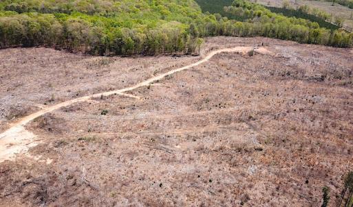 Photo #22 of Off Renrut Rd, Lunenburg, VA 104.0 acres
