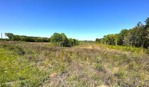 Photo #23 of Off Renrut Rd, Lunenburg, VA 104.0 acres