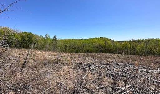 Photo #24 of Off Renrut Rd, Lunenburg, VA 104.0 acres