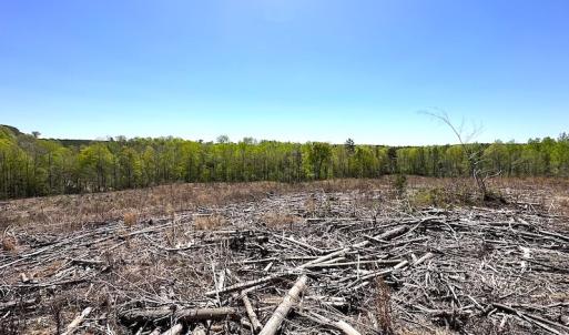 Photo #25 of Off Renrut Rd, Lunenburg, VA 104.0 acres