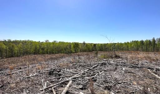 Photo #26 of Off Renrut Rd, Lunenburg, VA 104.0 acres