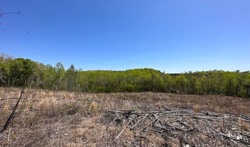 Photo #27 of Off Renrut Rd, Lunenburg, VA 104.0 acres