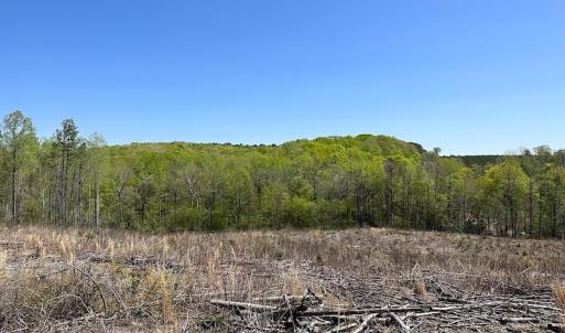 Photo #28 of Off Renrut Rd, Lunenburg, VA 104.0 acres