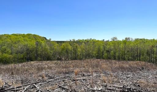 Photo #29 of Off Renrut Rd, Lunenburg, VA 104.0 acres